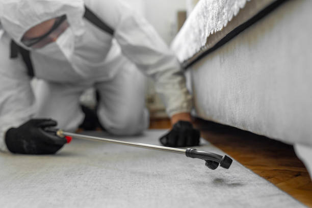 Professional Termite Control technician working in Piedmont, CA