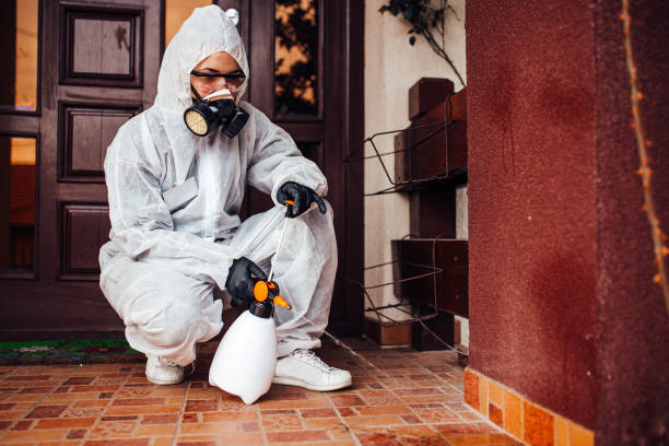 Reliable Termite Control contractor in Piedmont, CA by Nex Pest Control
